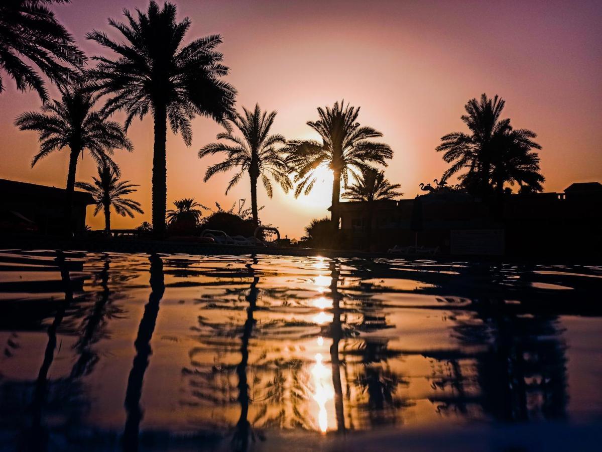Flamingo Beach Hotel Umm al-Quwain Exterior foto